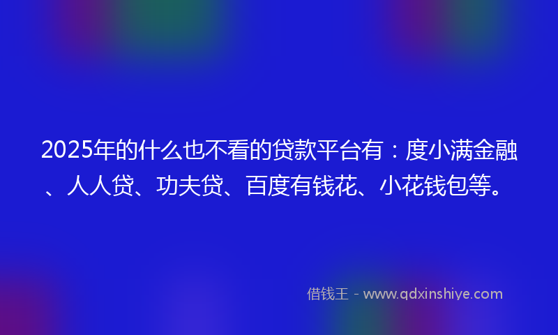 2025年的什么也不看的贷款平台有：度小满金融、人人贷、功夫贷、百度有钱花、小花钱包等。