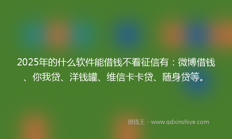 2025年的什么软件能借钱不看征信有：微博借钱、你我贷、洋钱罐、维信卡卡贷、随身贷等。