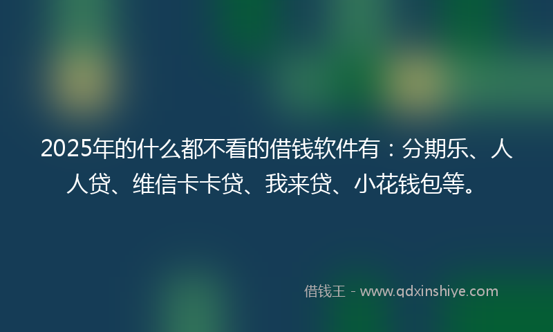 2025年的什么都不看的借钱软件有：分期乐、人人贷、维信卡卡贷、我来贷、小花钱包等。