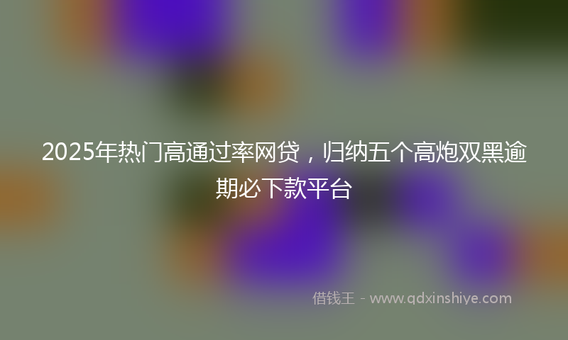 2025年热门高通过率网贷，归纳五个高炮双黑逾期必下款平台
