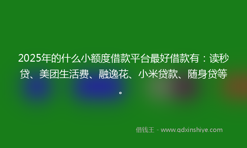 2025年的什么小额度借款平台最好借款有：读秒贷、美团生活费、融逸花、小米贷款、随身贷等。