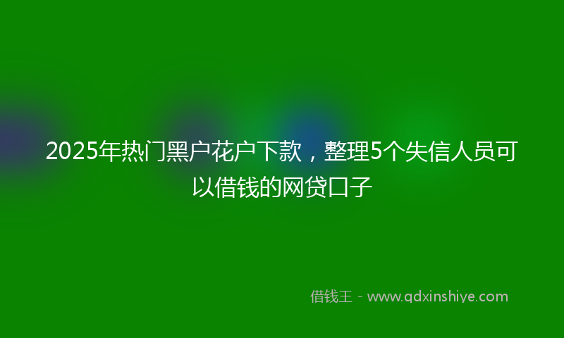 2025年热门黑户花户下款，整理5个失信人员可以借钱的网贷口子