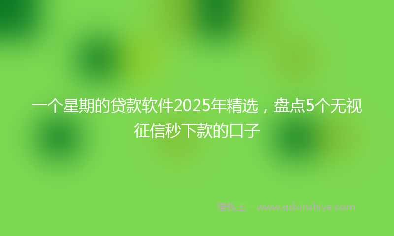 一个星期的贷款软件2025年精选，盘点5个无视征信秒下款的口子
