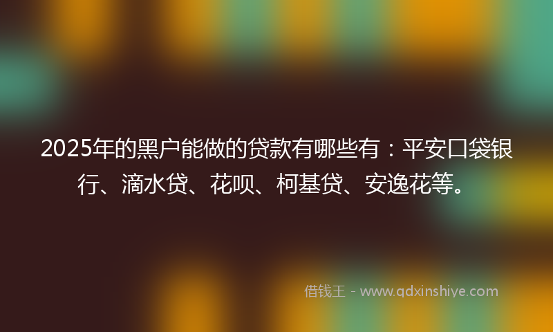 2025年的黑户能做的贷款有哪些有：平安口袋银行、滴水贷、花呗、柯基贷、安逸花等。