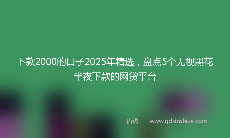 下款2000的口子2025年精选，盘点5个无视黑花半夜下款的网贷平台