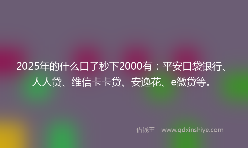 2025年的什么口子秒下2000有：平安口袋银行、人人贷、维信卡卡贷、安逸花、e微贷等。