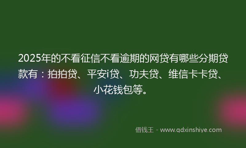 2025年的不看征信不看逾期的网贷有哪些分期贷款有：拍拍贷、平安i贷、功夫贷、维信卡卡贷、小花钱包等。