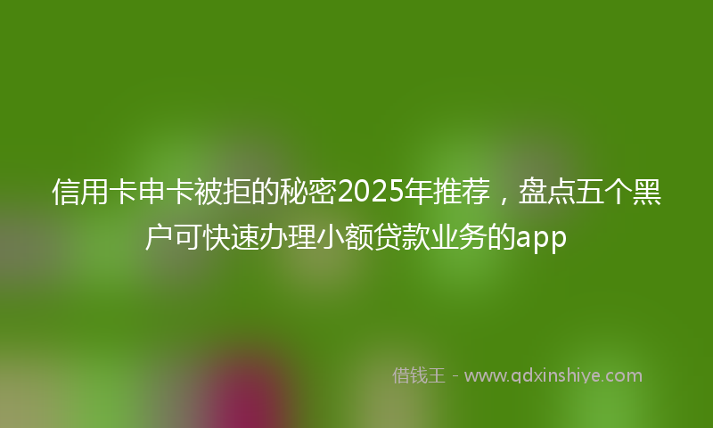 信用卡申卡被拒的秘密2025年推荐，盘点五个黑户可快速办理小额贷款业务的app