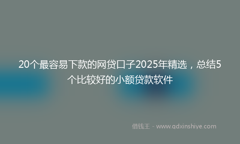 20个最容易下款的网贷口子2025年精选，总结5个比较好的小额贷款软件
