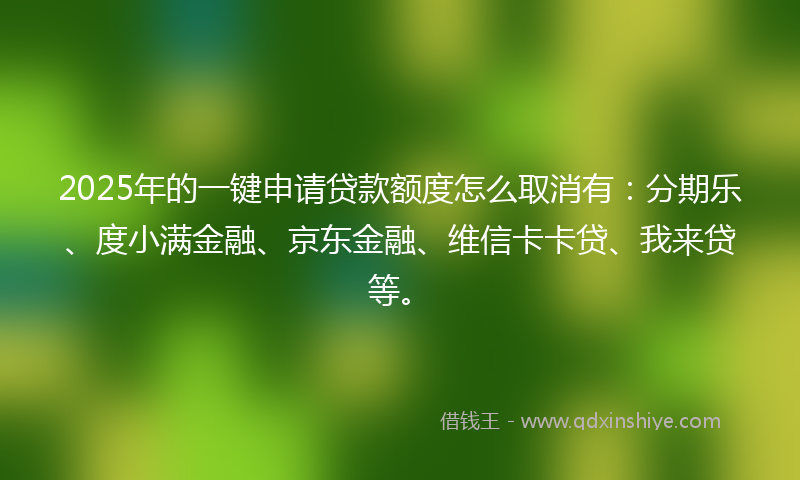 2025年的一键申请贷款额度怎么取消有：分期乐、度小满金融、京东金融、维信卡卡贷、我来贷等。