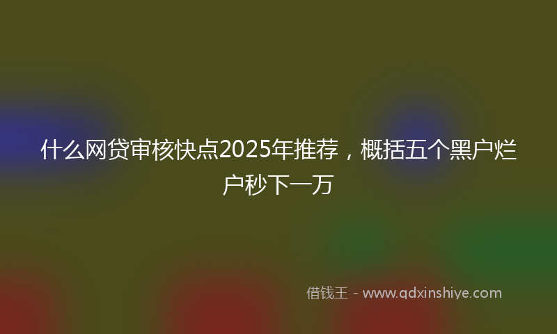 什么网贷审核快点2025年推荐，概括五个黑户烂户秒下一万