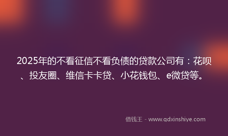 2025年的不看征信不看负债的贷款公司有：花呗、投友圈、维信卡卡贷、小花钱包、e微贷等。