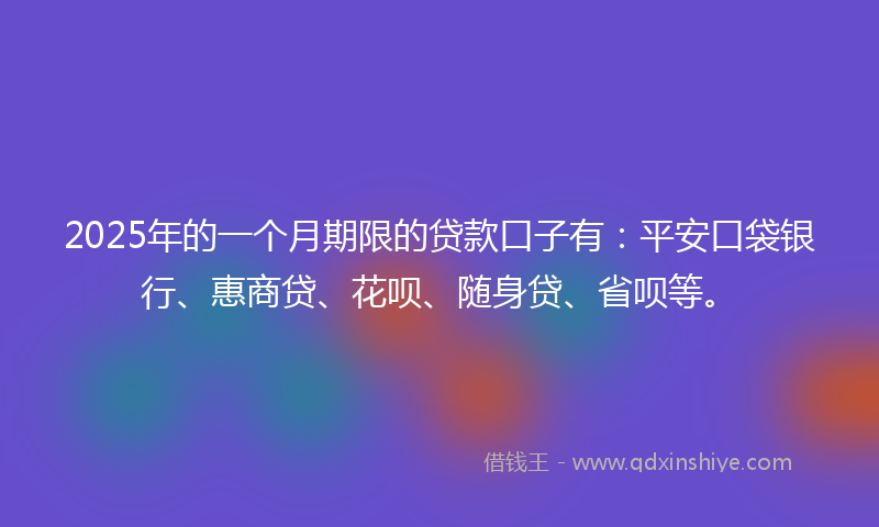 2025年的一个月期限的贷款口子有：平安口袋银行、惠商贷、花呗、随身贷、省呗等。