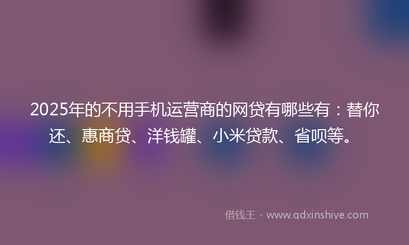 2025年的不用手机运营商的网贷有哪些有：替你还、惠商贷、洋钱罐、小米贷款、省呗等。