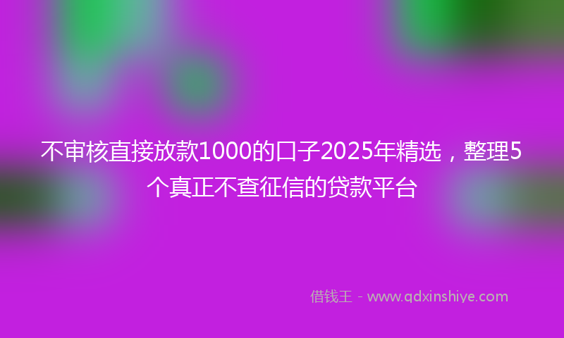 不审核直接放款1000的口子2025年精选，整理5个真正不查征信的贷款平台