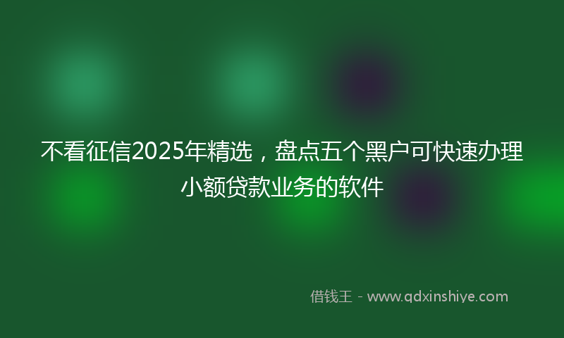 不看征信2025年精选，盘点五个黑户可快速办理小额贷款业务的软件