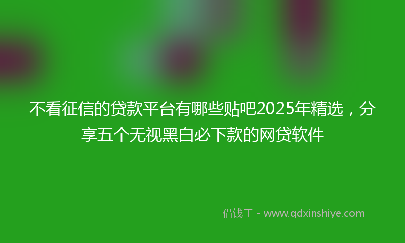 不看征信的贷款平台有哪些贴吧2025年精选，分享五个无视黑白必下款的网贷软件