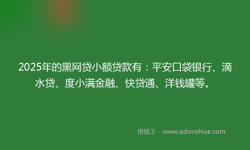 2025年的黑网贷小额贷款有：平安口袋银行、滴水贷、度小满金融、快贷通、洋钱罐等。