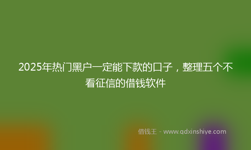2025年热门黑户一定能下款的口子，整理五个不看征信的借钱软件
