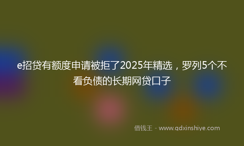 e招贷有额度申请被拒了2025年精选，罗列5个不看负债的长期网贷口子