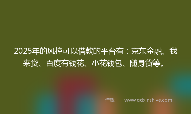 2025年的风控可以借款的平台有：京东金融、我来贷、百度有钱花、小花钱包、随身贷等。