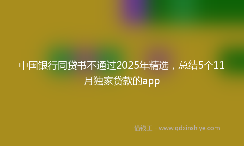 中国银行同贷书不通过2025年精选，总结5个11月独家贷款的app