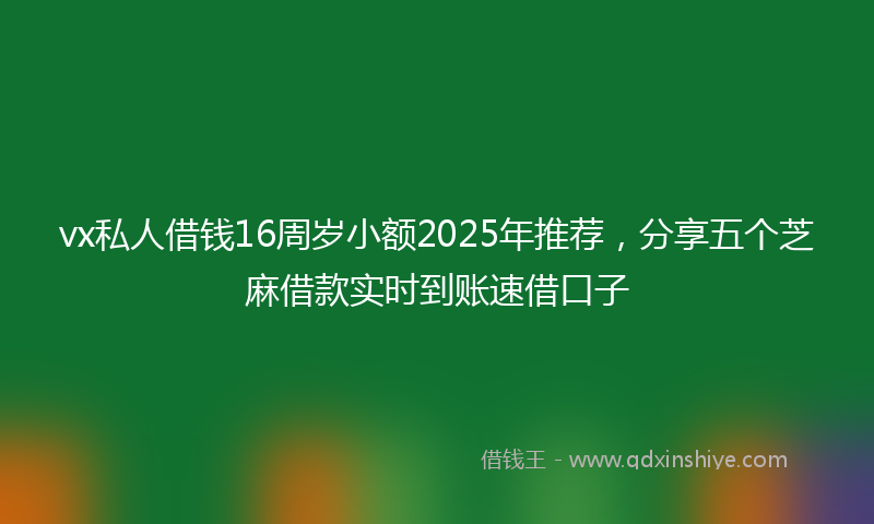 vx私人借钱16周岁小额2025年推荐，分享五个芝麻借款实时到账速借口子