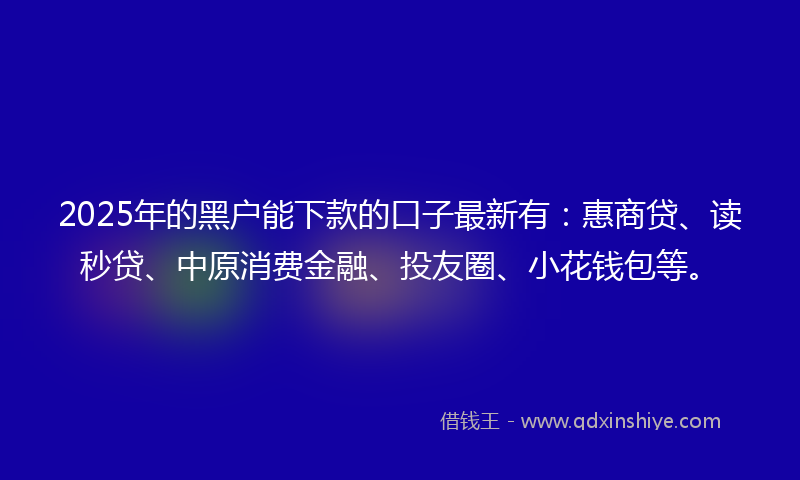 2025年的黑户能下款的口子最新有：惠商贷、读秒贷、中原消费金融、投友圈、小花钱包等。