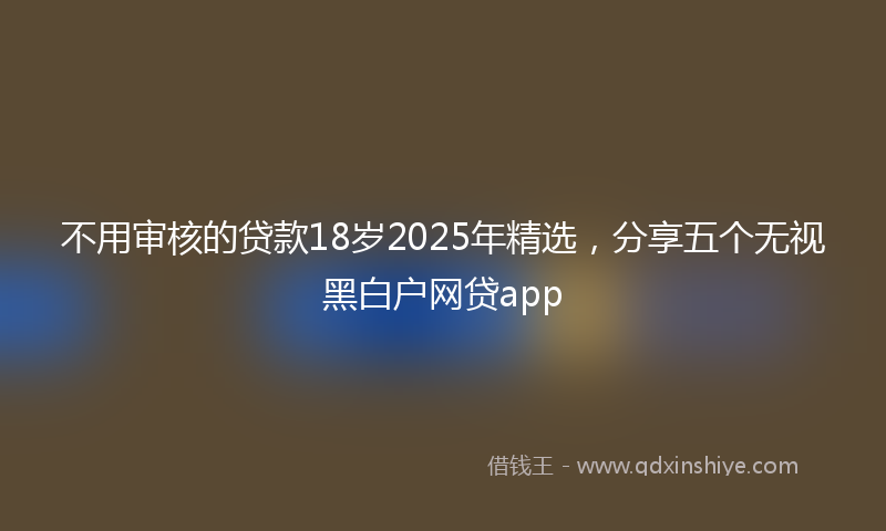 不用审核的贷款18岁2025年精选，分享五个无视黑白户网贷app