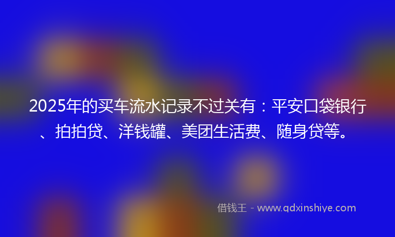 2025年的买车流水记录不过关有：平安口袋银行、拍拍贷、洋钱罐、美团生活费、随身贷等。