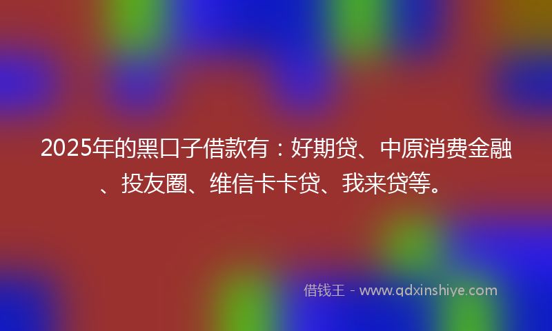 2025年的黑口子借款有：好期贷、中原消费金融、投友圈、维信卡卡贷、我来贷等。