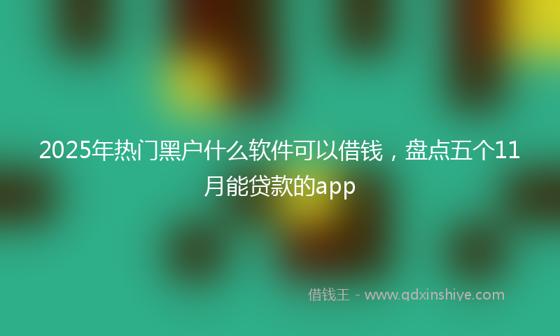 2025年热门黑户什么软件可以借钱，盘点五个11月能贷款的app