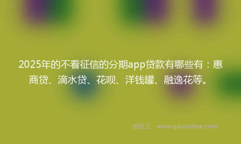 2025年的不看征信的分期app贷款有哪些有：惠商贷、滴水贷、花呗、洋钱罐、融逸花等。