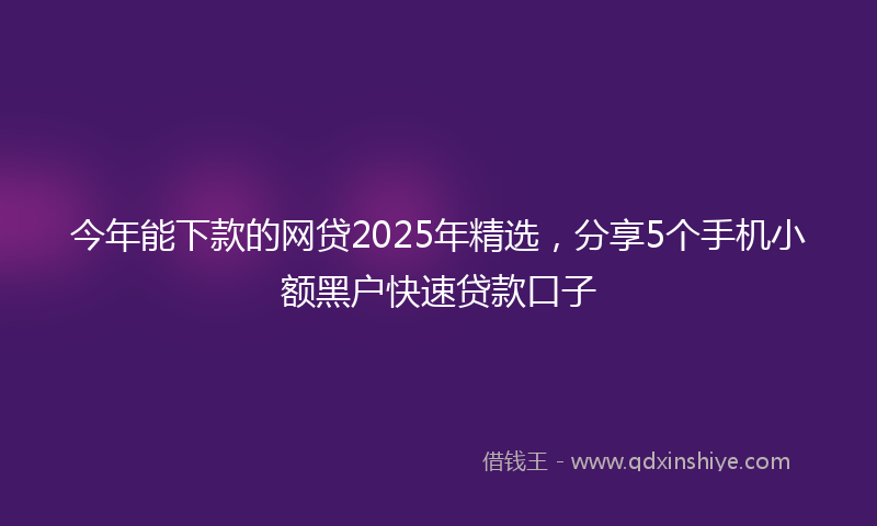今年能下款的网贷2025年精选，分享5个手机小额黑户快速贷款口子