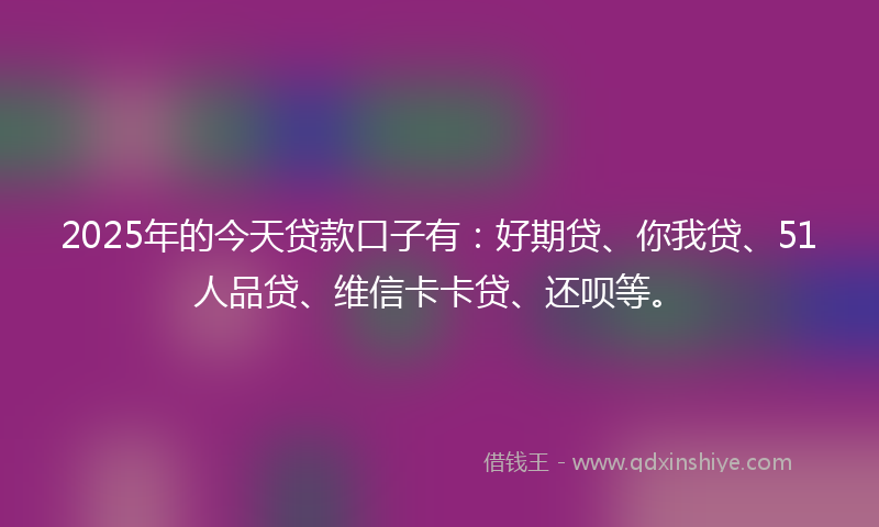 2025年的今天贷款口子有：好期贷、你我贷、51人品贷、维信卡卡贷、还呗等。
