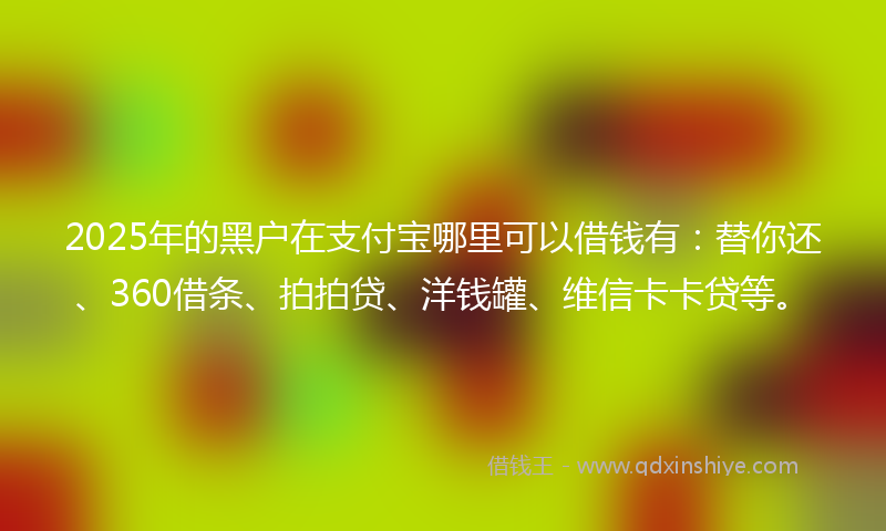 2025年的黑户在支付宝哪里可以借钱有：替你还、360借条、拍拍贷、洋钱罐、维信卡卡贷等。