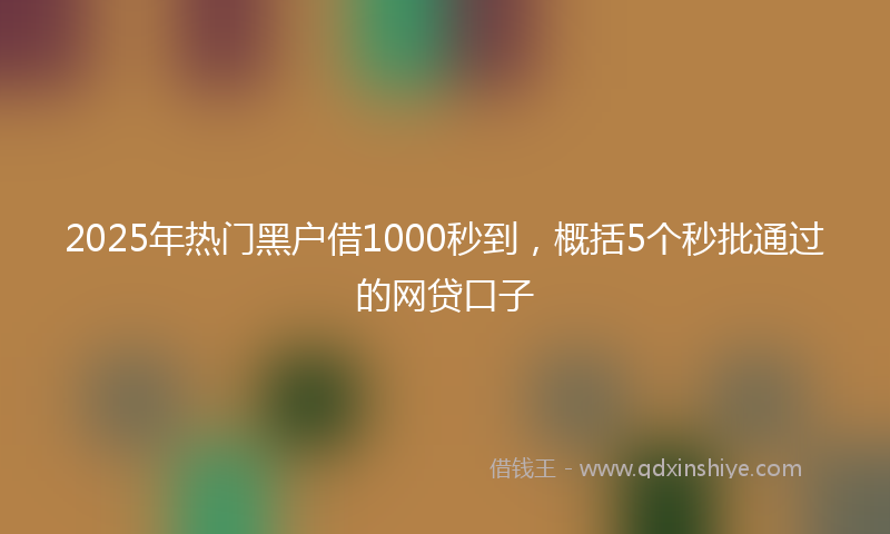 2025年热门黑户借1000秒到，概括5个秒批通过的网贷口子