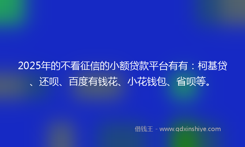 2025年的不看征信的小额贷款平台有有：柯基贷、还呗、百度有钱花、小花钱包、省呗等。