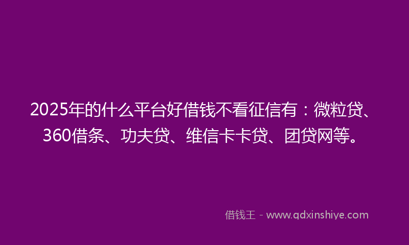 2025年的什么平台好借钱不看征信有：微粒贷、360借条、功夫贷、维信卡卡贷、团贷网等。