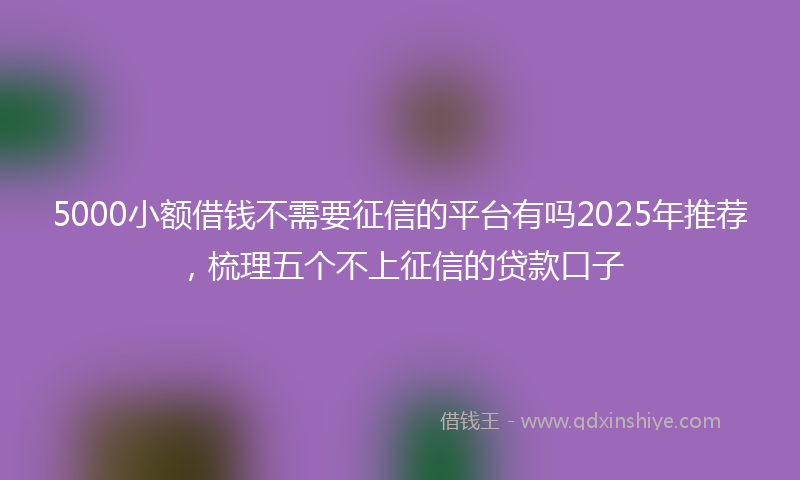 5000小额借钱不需要征信的平台有吗2025年推荐，梳理五个不上征信的贷款口子