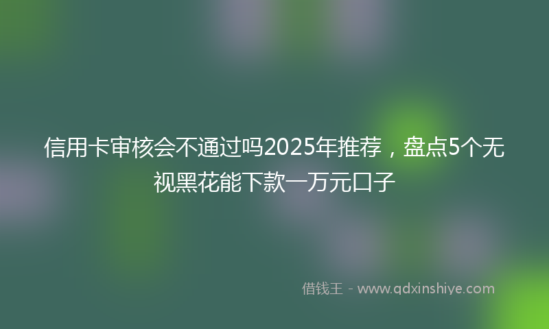 信用卡审核会不通过吗2025年推荐，盘点5个无视黑花能下款一万元口子