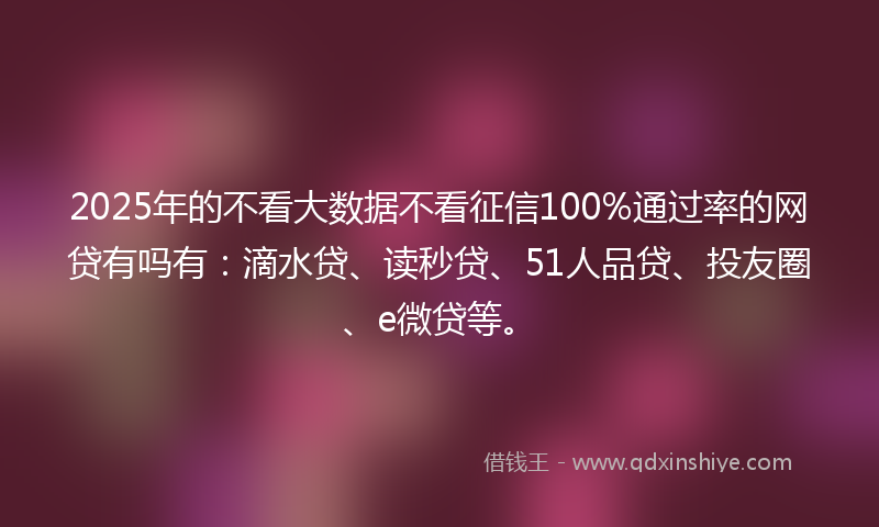 2025年的不看大数据不看征信100%通过率的网贷有吗有：滴水贷、读秒贷、51人品贷、投友圈、e微贷等。