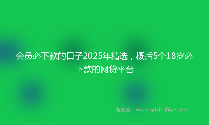 会员必下款的口子2025年精选，概括5个18岁必下款的网贷平台