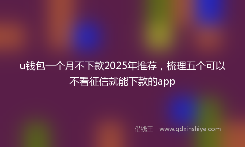 u钱包一个月不下款2025年推荐，梳理五个可以不看征信就能下款的app