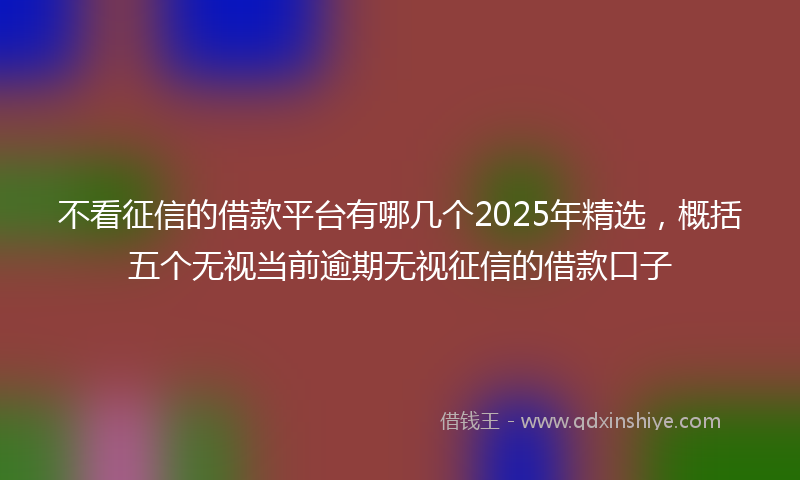 不看征信的借款平台有哪几个2025年精选，概括五个无视当前逾期无视征信的借款口子