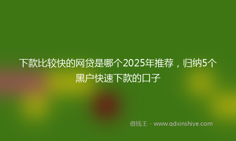 下款比较快的网贷是哪个2025年推荐，归纳5个黑户快速下款的口子