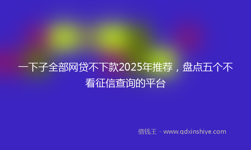 一下子全部网贷不下款2025年推荐，盘点五个不看征信查询的平台