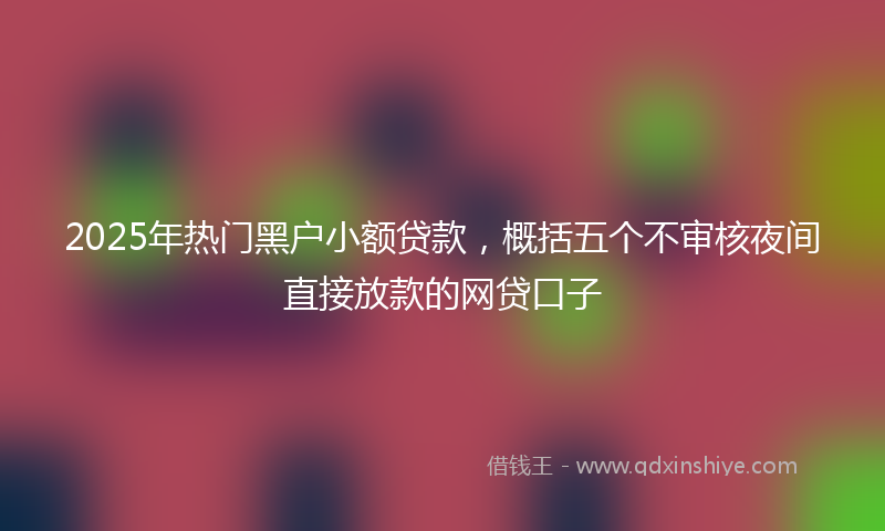 2025年热门黑户小额贷款，概括五个不审核夜间直接放款的网贷口子