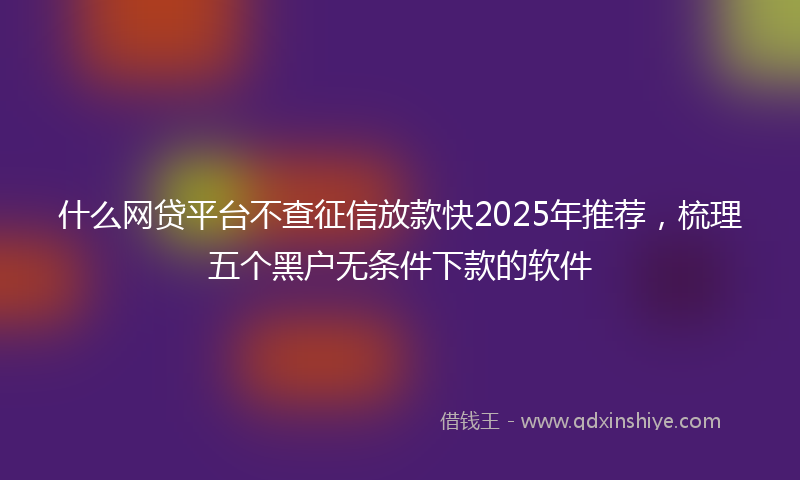 什么网贷平台不查征信放款快2025年推荐，梳理五个黑户无条件下款的软件