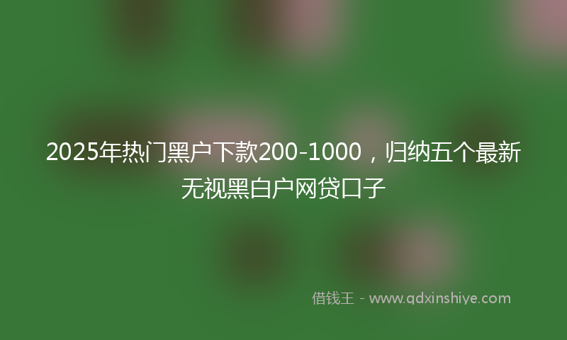 2025年热门黑户下款200-1000，归纳五个最新无视黑白户网贷口子